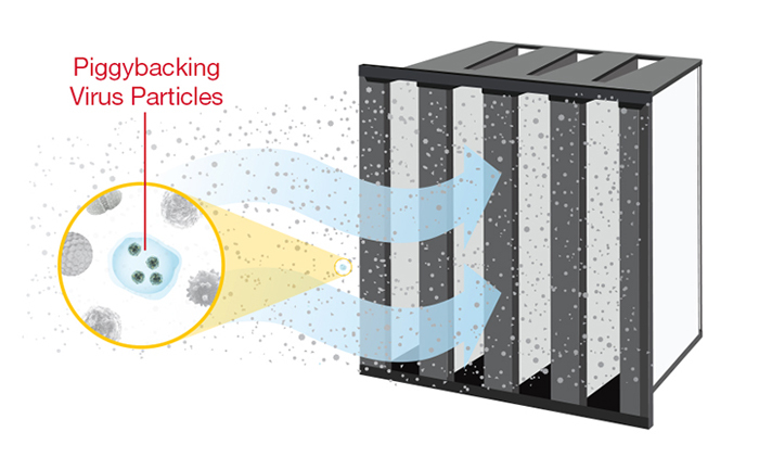 Piggyback virus Particles Air FIlter